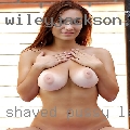 Shaved pussy Lenox